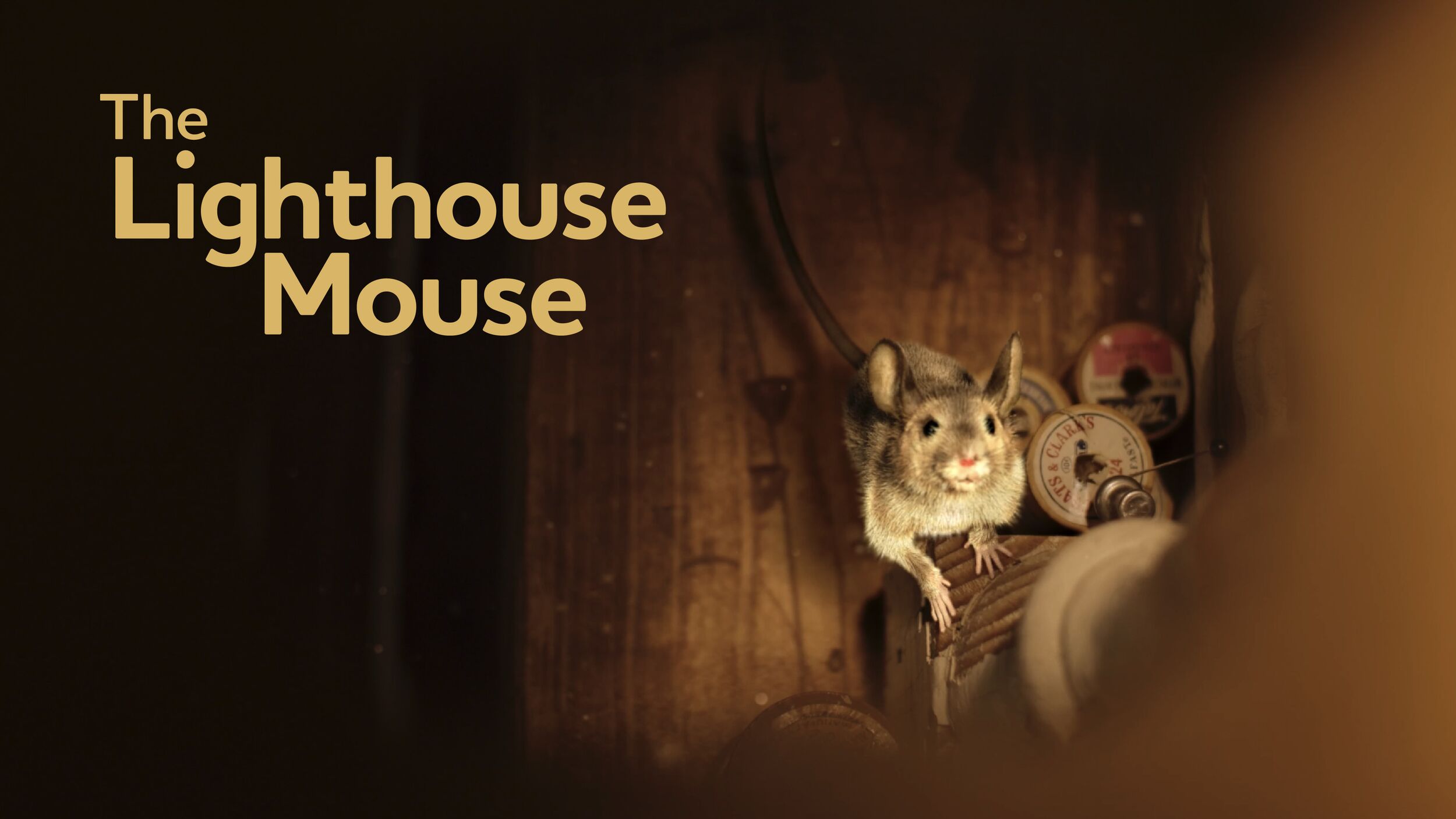 Lighthouse Mouse-01