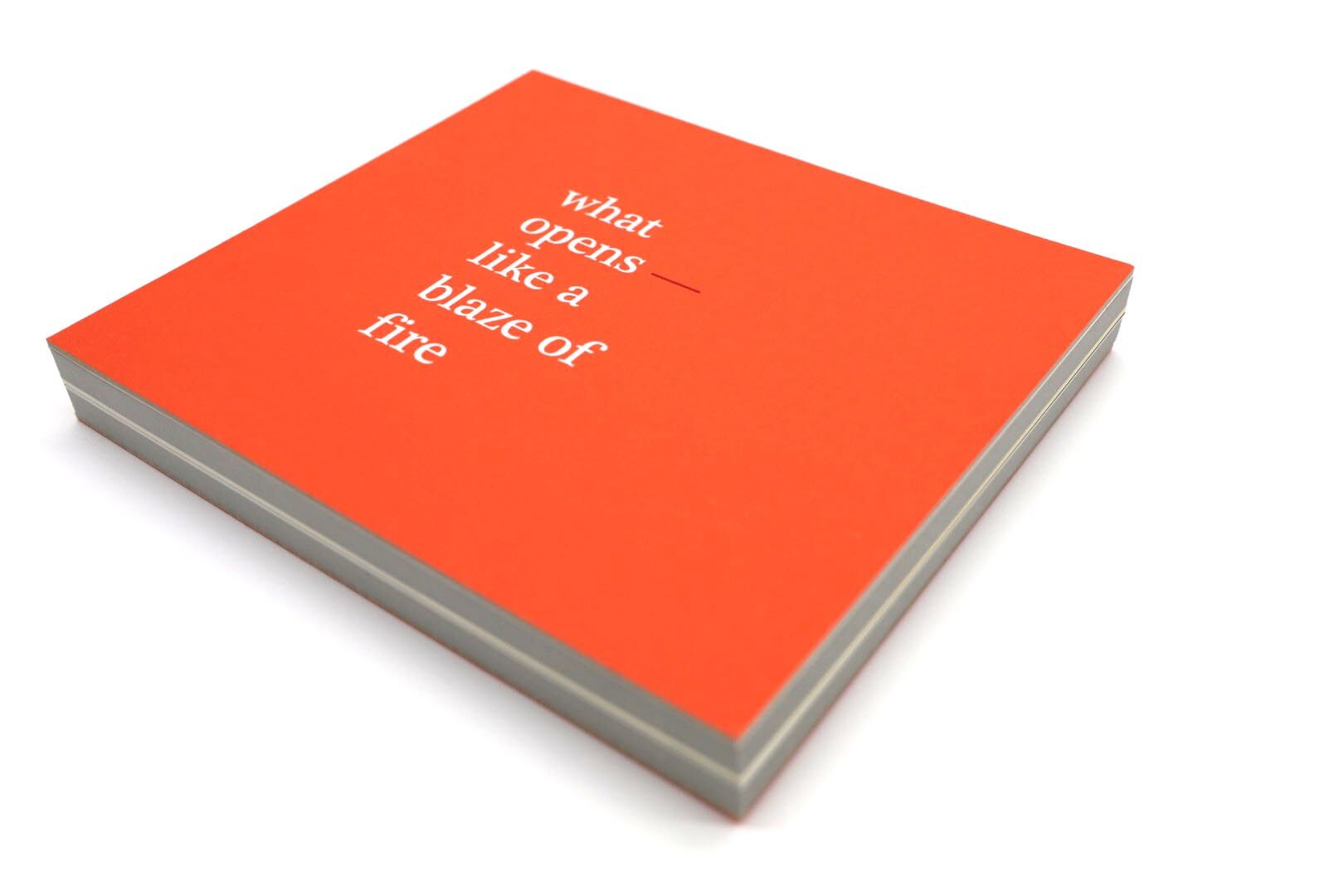 what opens—like a blaze of fire (with Charles Manson Lume- Joyce Sutphen- and Galilee Peaches)-01